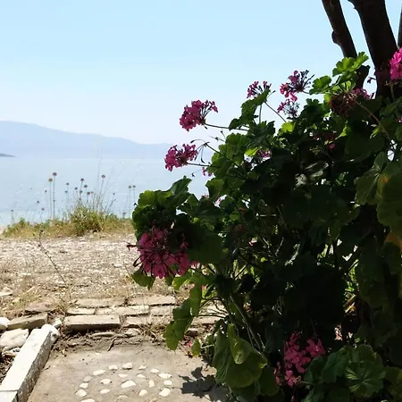 Maresol Lefkada Ξενοδοχείο με διαμερίσματα Νικιάνα